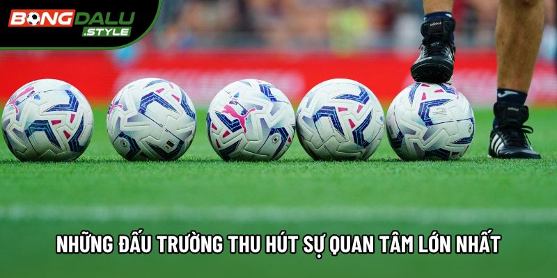 Những đấu trường thu hút sự quan tâm lớn nhất Những đấu trường thu hút sự quan tâm lớn nhất
